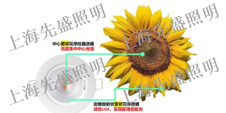 河南装修灯具 上海先盛照明电器供应